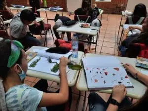 Actividades de colegios