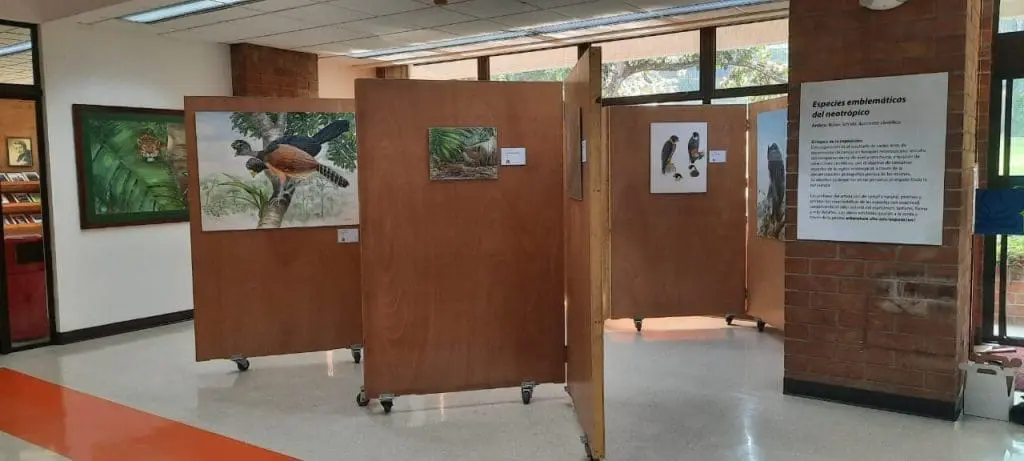 Exhibición de pinturas