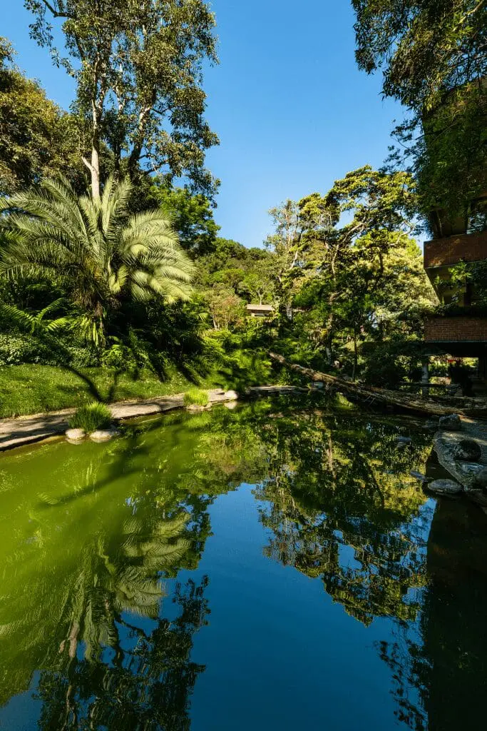 Arboretum_UFM_naturaleza campus